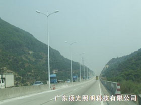 東莞（wǎn）厚大路道（dào）路照明工程